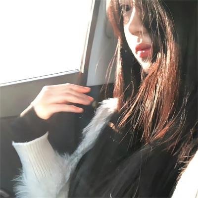 携带狗的猫